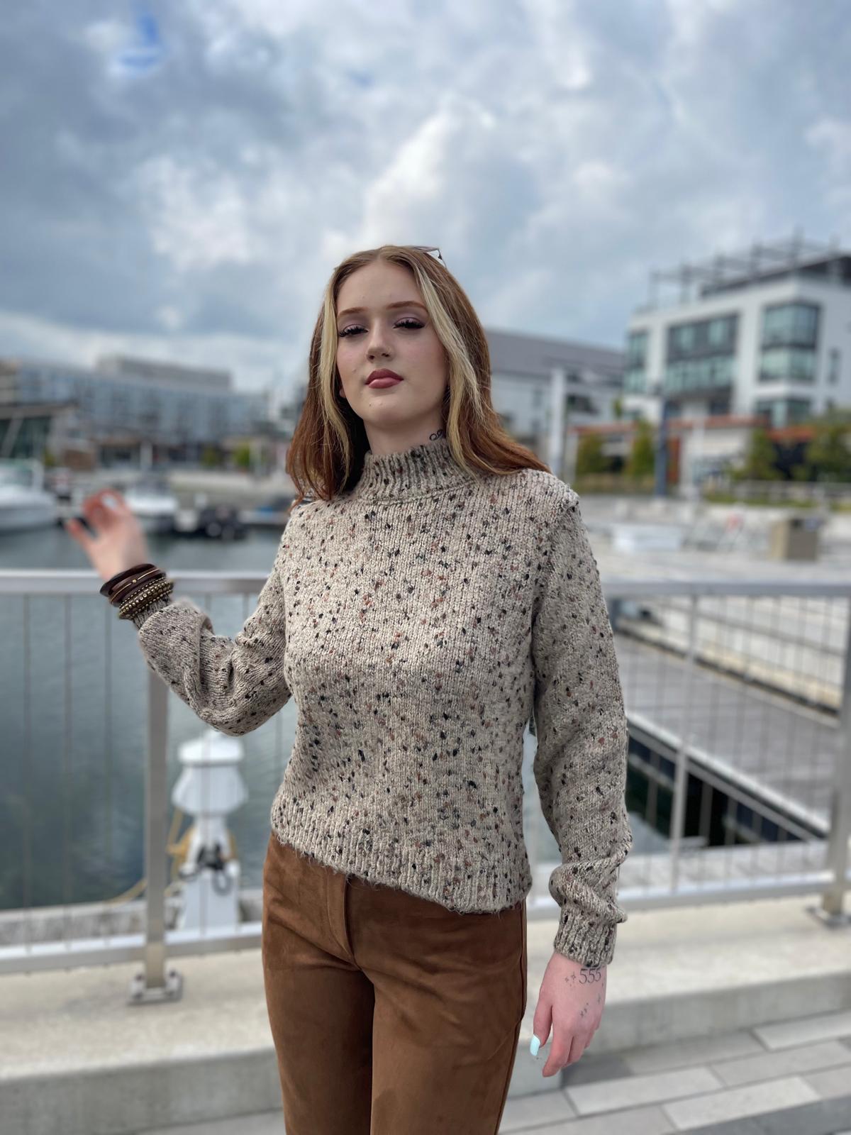 Stone Sequin Knit Comfort Sweater