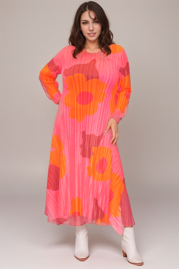 Printed Round Neck Pleated Dress
